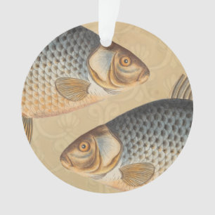 Karper vissen vissen schilderen zoetwater tekening ornament