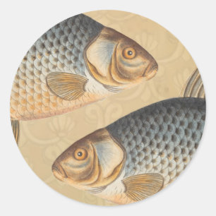 Karper vissen vissen schilderen zoetwater tekening ronde sticker