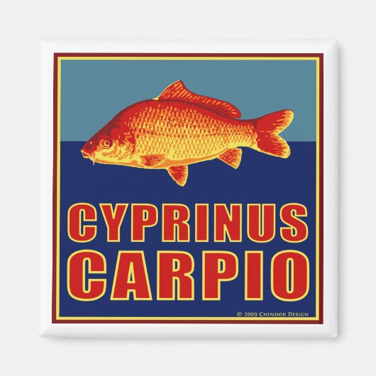 Karpermagneet Magneet (Voorkant)