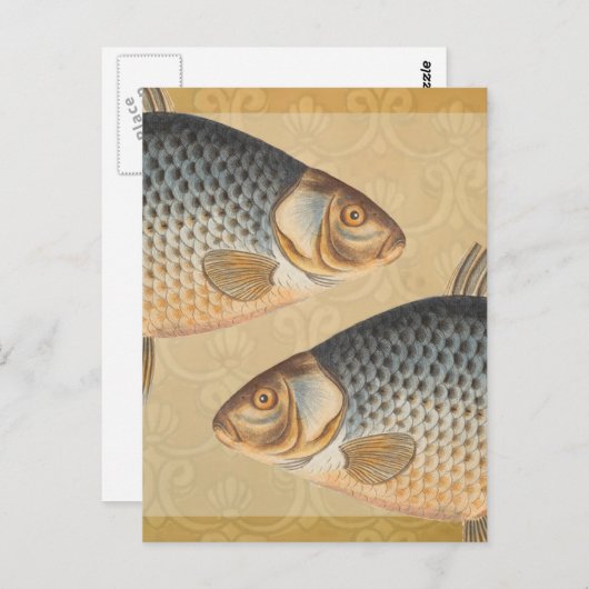 Karpervisvisserij schilderij zoetwater briefkaart (Voorkant / Achterkant)