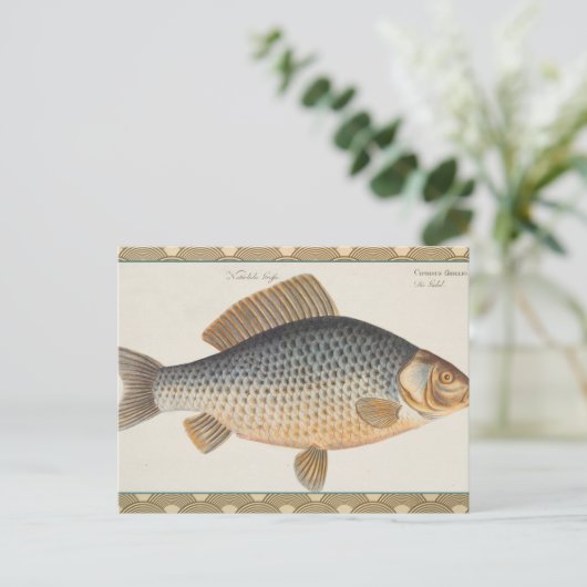 Karpervisvisserij schilderij zoetwater briefkaart (Staand voorkant)