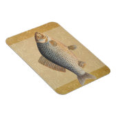 Karpervisvisserij schilderij zoetwater magneet (Rechterzijde)