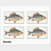 Karpervisvisserij schilderij zoetwater rechthoekige sticker (Vel)