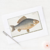 Karpervisvisserij schilderij zoetwater rechthoekige sticker (Envelop)