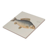 Karpervisvisserij schilderij zoetwater tegeltje (Zijkant)
