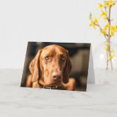 Karte mit Motiv "Magyar Vizsla" Kaart (Gele Bloem)