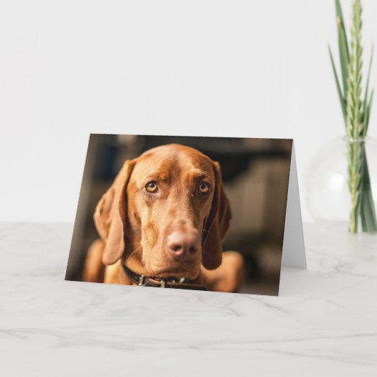 Karte mit Motiv "Magyar Vizsla" Kaart (Voorkant)