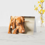 Karte mit Motiv "Magyar Vizsla" Kaart (Gele Bloem)