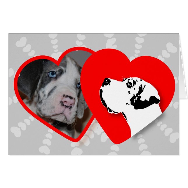 Karten für Ihre Fotos! (Voorkant Horizontaal)