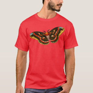 karton 3 t-shirt