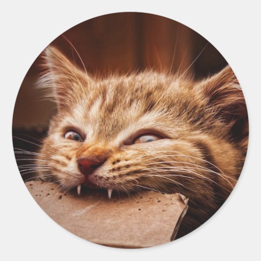 Kartonnen doos met kattenbakje ronde sticker (Voorkant)