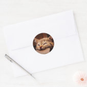 Kartonnen doos met kattenbakje ronde sticker (Envelop)