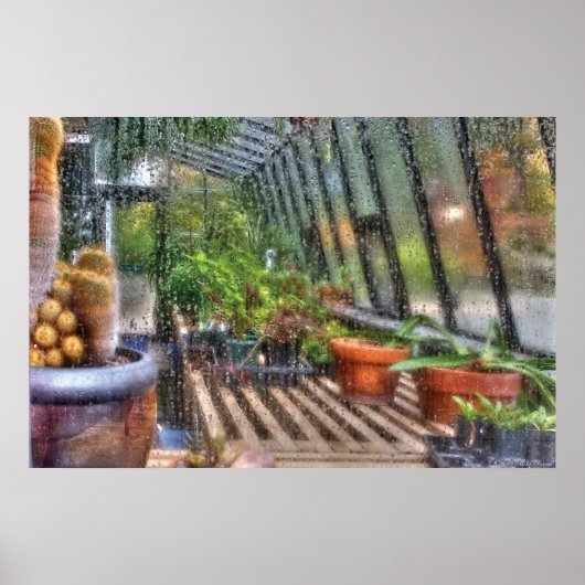 Kas - in een serre raam poster (Voorkant)