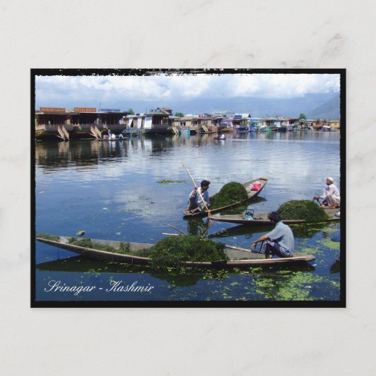 Kashmir, Srinagar - Dal Lake / India-vakantie Briefkaart (Voorkant)