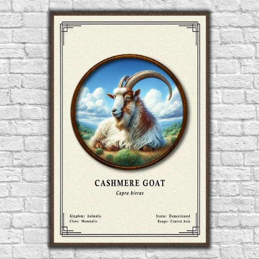Kasjmiergeit Zoölogie Serie Poster