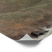 Kasjmir, c.1860 poster (Hoek)