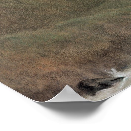 Kasjmir, c.1860 poster (Hoek)