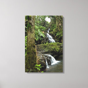 "KASKWATERVAL IN HAWAÏAN TROPICAL GARDEN" CANVAS AFDRUK