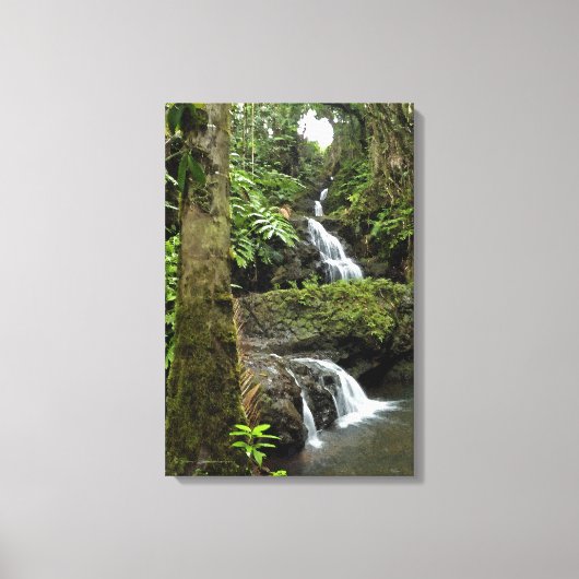 "KASKWATERVAL IN HAWAÏAN TROPICAL GARDEN" CANVAS AFDRUK (Voorkant)
