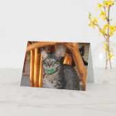 Kaspische Schattige Kat Jubileum Kaart (Gele Bloem)
