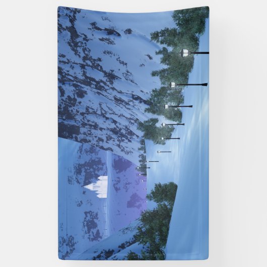 Kassa van de lichtbanner spandoek (Verticaal)