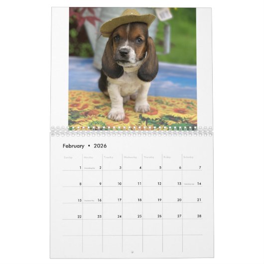 Kassethafkalender met tiny E Kalender (Feb 2026)