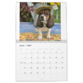 Kassethafkalender met tiny E Kalender (Mar 2027)