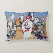 Kast Accent Kussen (Voorkant)