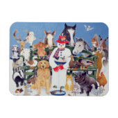 Kast Magneet (Horizontaal)