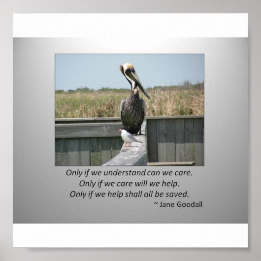 Kast Poster (Voorkant)