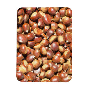 kastanje-211079 delici van kastanjes zoete magneet
