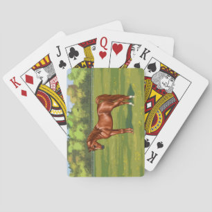 Kastanje Arabisch paard uit Egypte in het voorjaar Pokerkaarten