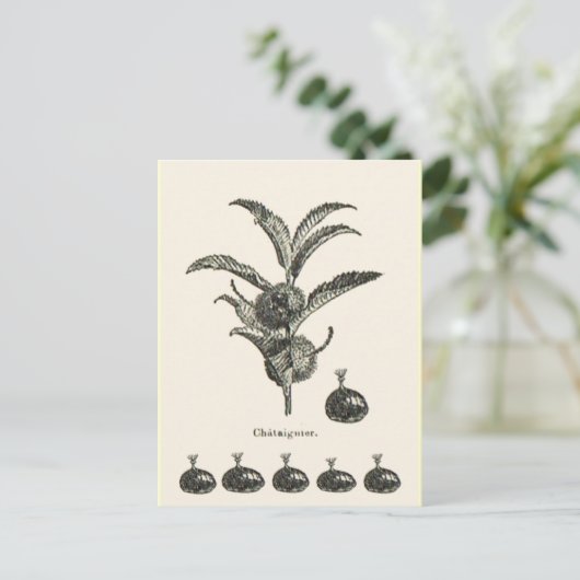 kastanje briefkaart (Staand voorkant)