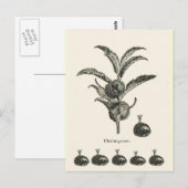 kastanje briefkaart (Voorkant / Achterkant)