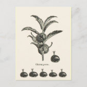 kastanje briefkaart (Voorkant)