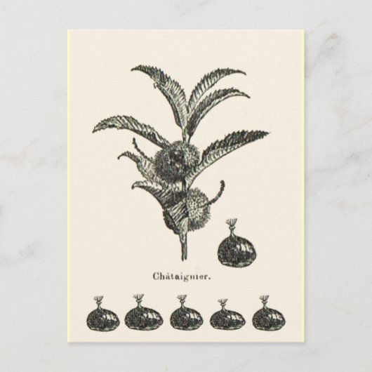 kastanje briefkaart (Voorkant)