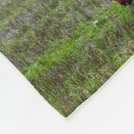 kastanje- en arabierpaarden in een collage van Afb Fleece Deken (Hoek)