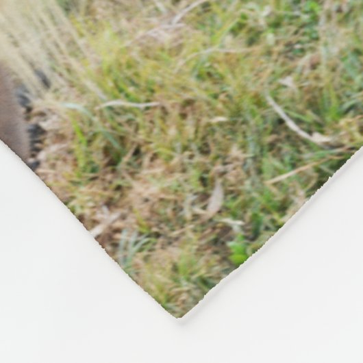 kastanje- en arabierpaarden in een collage van Afb Fleece Deken (Hoek)