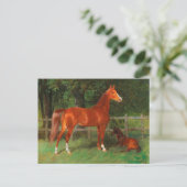 Kastanje met veulen in de wei | Hans Haag Briefkaart (Staand voorkant)