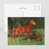 Kastanje met veulen in de wei | Hans Haag Briefkaart (Voorkant / Achterkant)