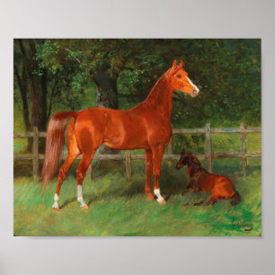 Kastanje met veulen in de wei   Hans Haag Poster