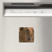 Kastanje Paard Design Vierkante Magneet (Insitu (Vaatwasser))