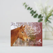 Kastanje Paard Vakantie Foto Briefkaarten (Staand voorkant)