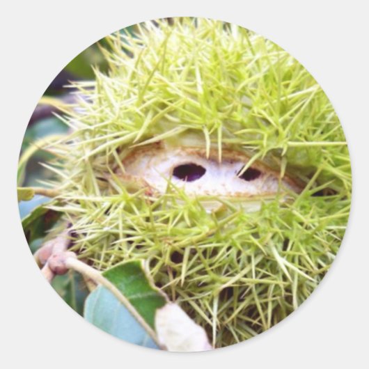 kastanje ronde sticker (Voorkant)