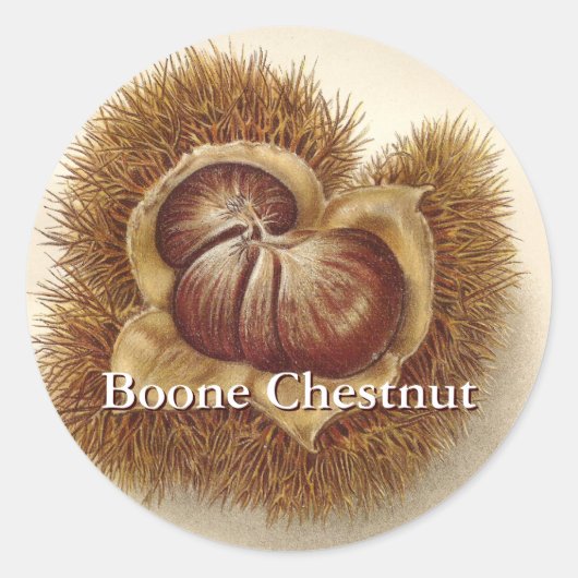  kastanje Stickers (Voorkant)