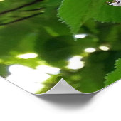 kastanjebloem poster (Hoek)