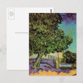 Kastanjeboom in Blossom door Vincent van Gogh Briefkaart (Voorkant / Achterkant)