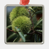 Kastanjeboom Metalen Ornament (Voorkant)