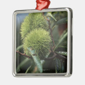 Kastanjeboom Metalen Ornament (Links)