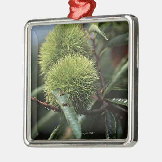 Kastanjeboom Metalen Ornament (Links)